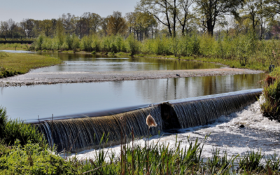 asent.ai enters partnership with danish wastewater utility