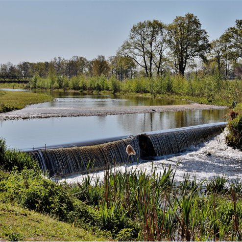 asent.ai enters partnership with danish wastewater utility